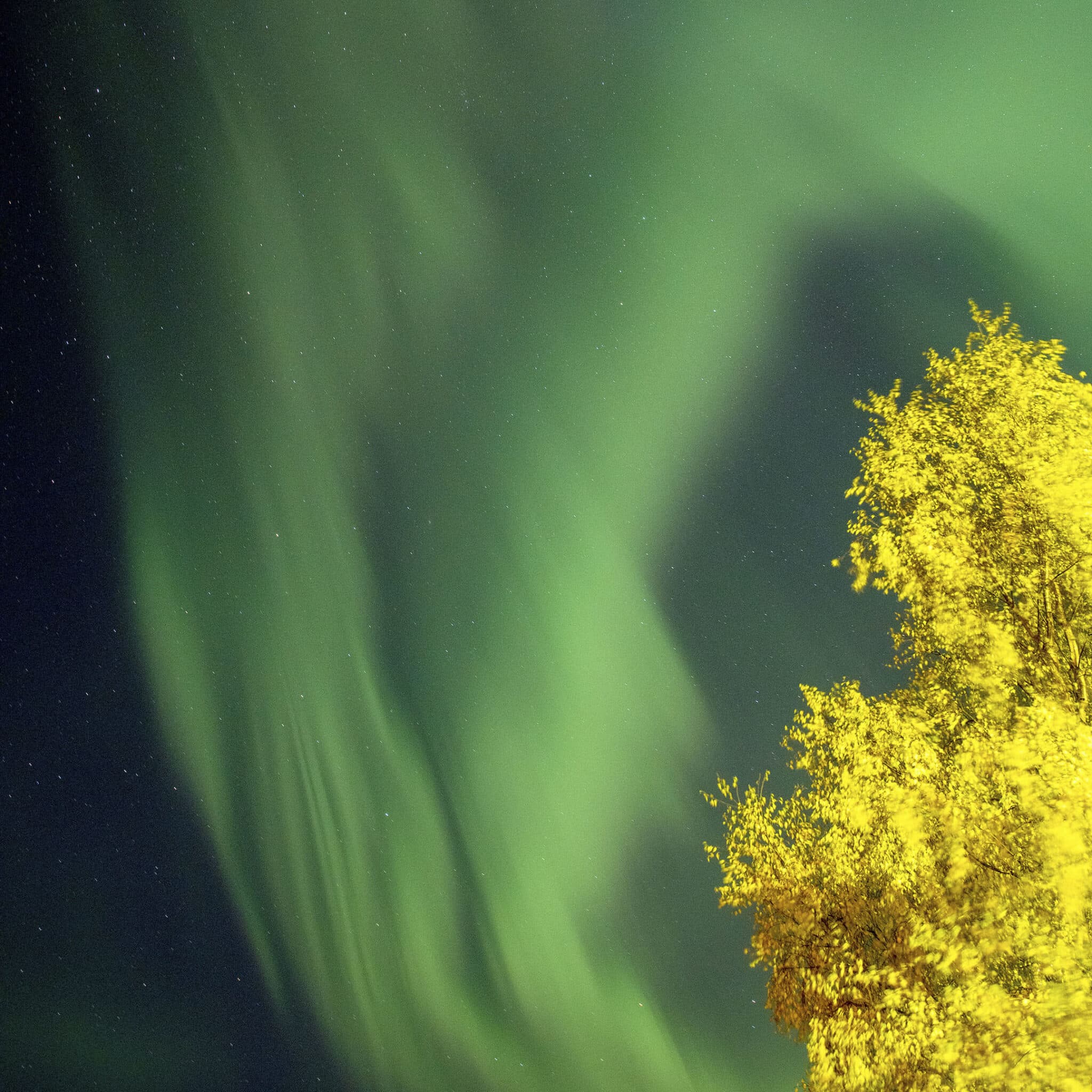 Northern Lights over Kenai, Alaska